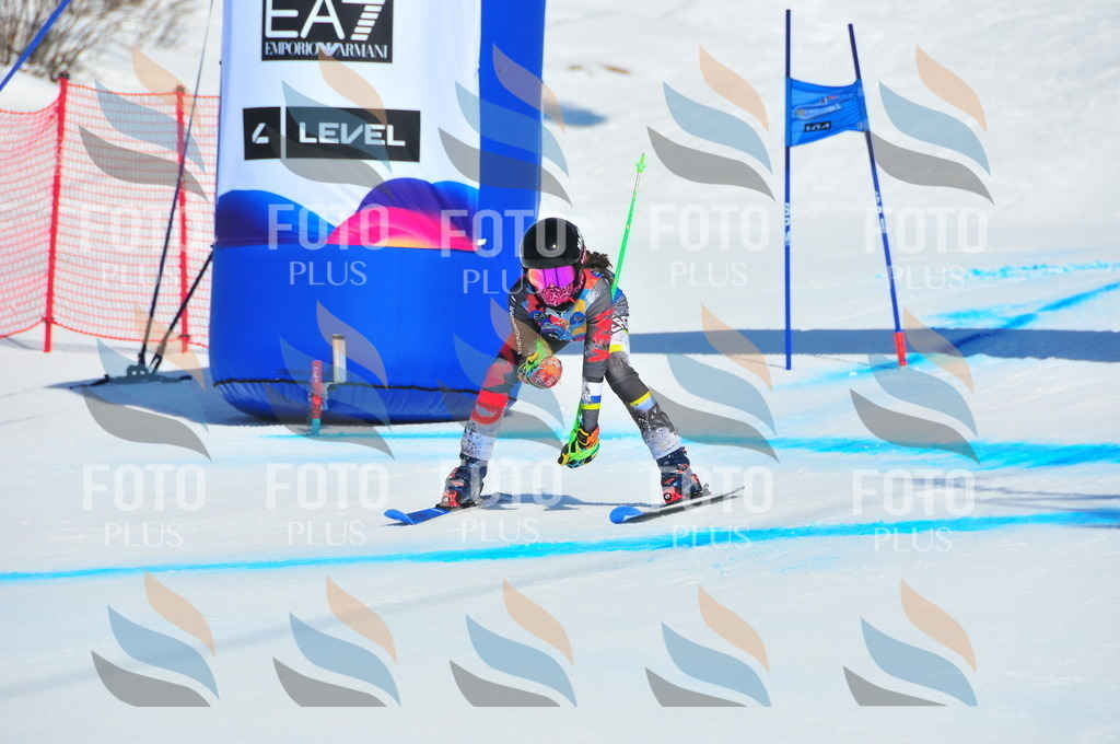 DSC_4696 | holidayphoto