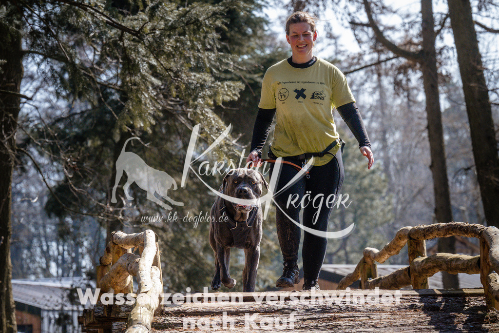 1329_ZZ95246 | kk-dogfotos