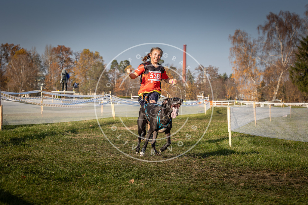 CaniXpix_0L8A9009 | Hundefotografie, Tierfotograf, Pfotenfotografie, Fotoshooting Hund, Hunde Portrait, Hundesport, Hundeportraits, Heideshooting, Hunde, Sportfotograf, Hundefotograf, Turnierhundsport, THS,  - Realisiert mit Pictrs.com