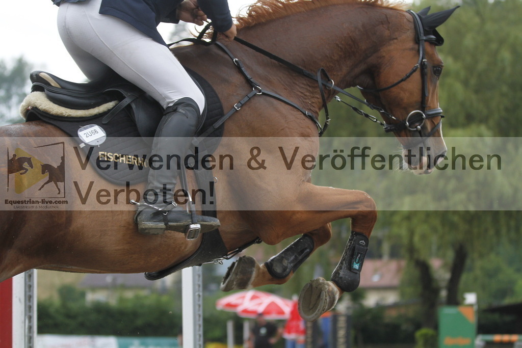 _MG_6589 | equestrian-live-com