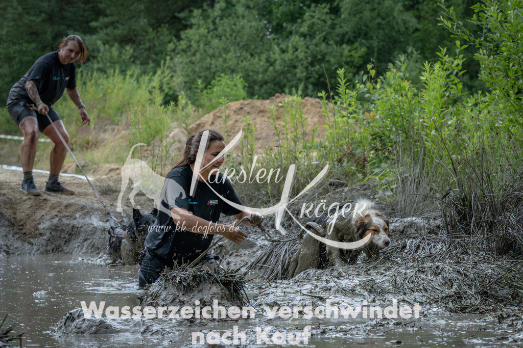 1409_ZZ91156-Verbessert-RR | kk-dogfotos
