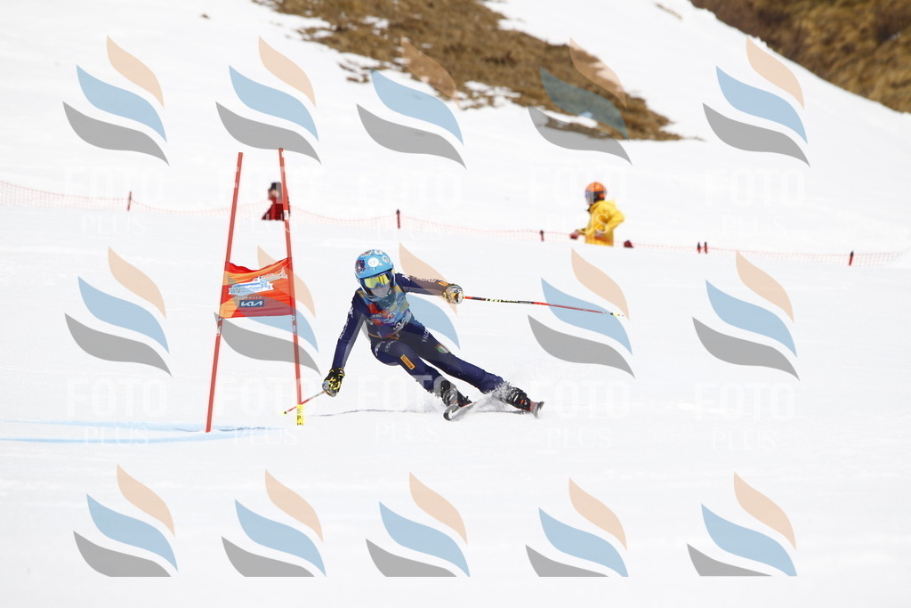 _U3G5896 | holidayphoto