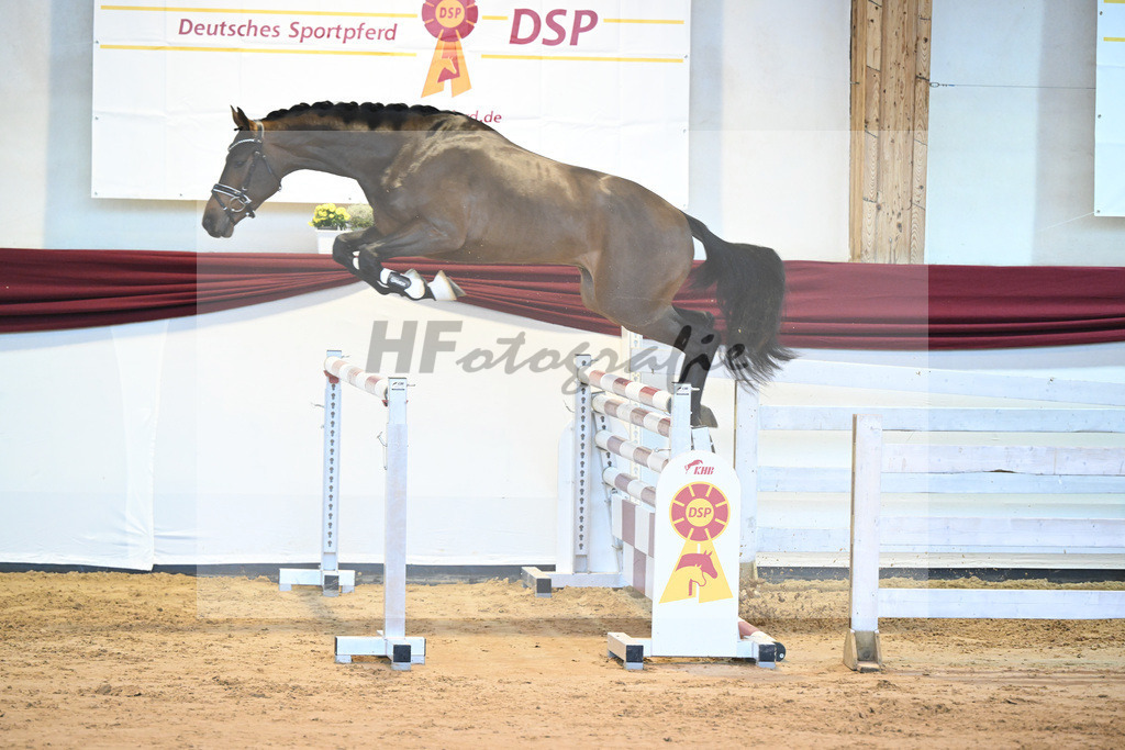 Kat-Nr. 60 v. Zinedream_Schreder_66221365 | hf-fotografie - Realisiert mit Pictrs.com