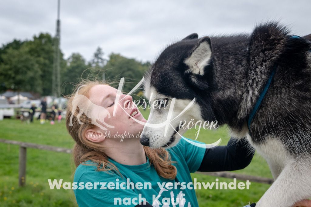 1231_ZZ91092 | kk-dogfotos