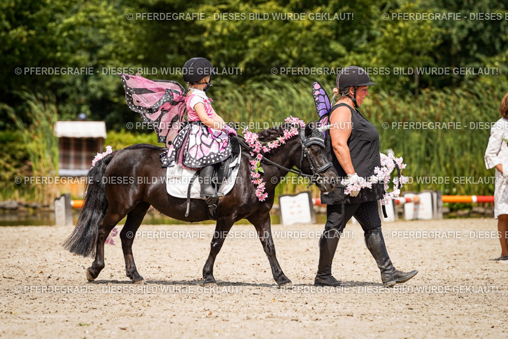 DSC03158 | Pferdegrafie