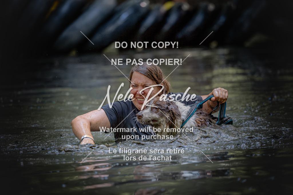 nelerasche_SaWingst1530-1600_334 | nelerasche