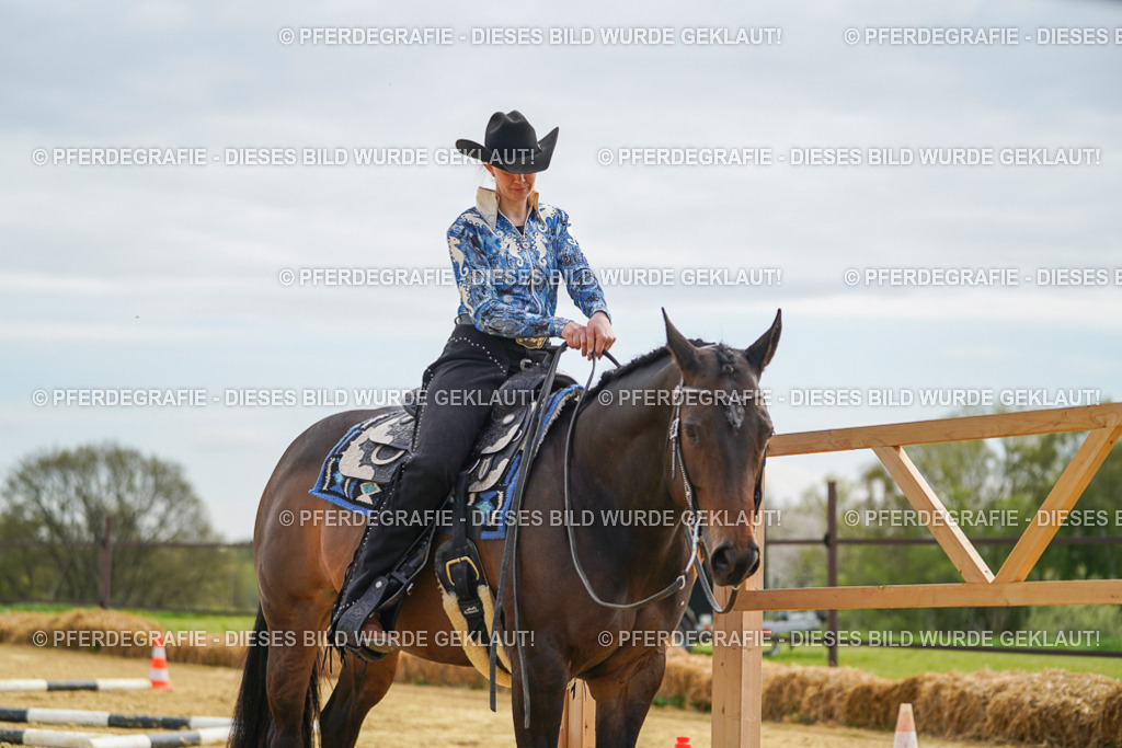 DSC03546 | Pferdegrafie