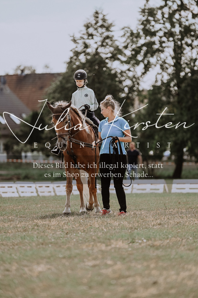 DSC_7578 | Pferde- und Turnierfotografie in Westsachsen. Pferdeportraits, Auftragszeichnungen und intuitive Kunst.