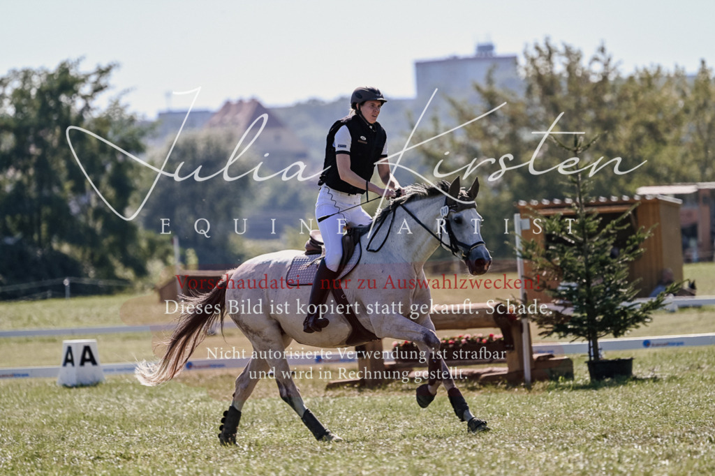 DSC_2850 | Pferde- und Turnierfotografie in Westsachsen. Pferdeportraits, Auftragszeichnungen und intuitive Kunst.