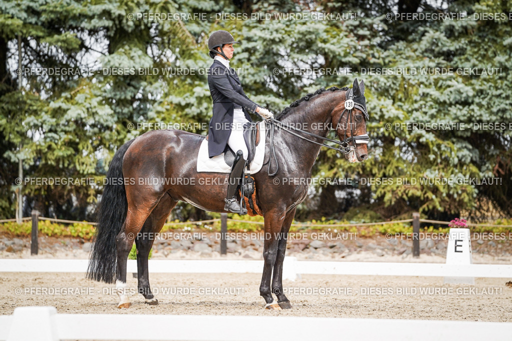 DSC06725 | Pferdegrafie