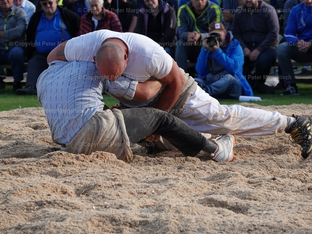 DSC05647 | Schwingen - Realisiert mit Pictrs.com