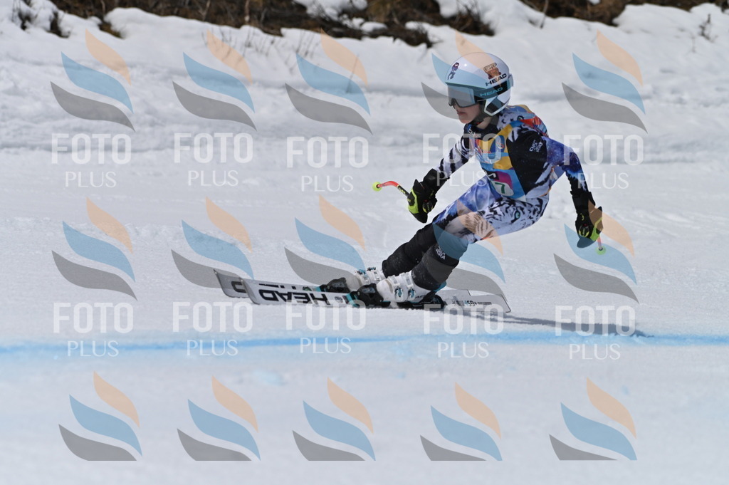 BGV_6267 | holidayphoto