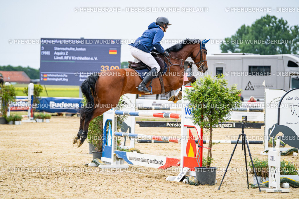 DSC06611 | Pferdegrafie