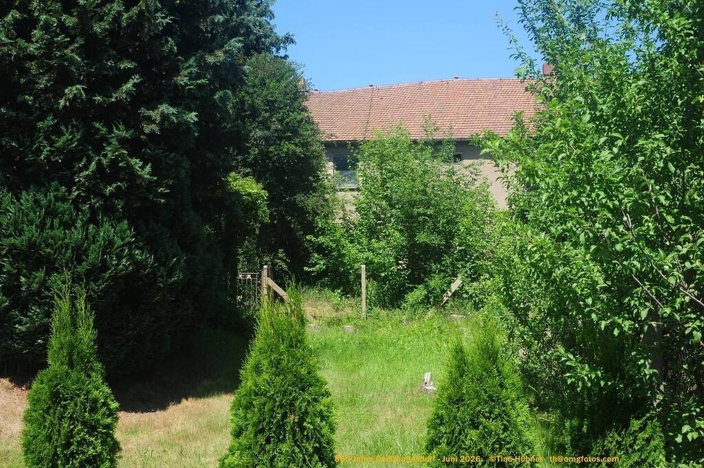 Geißmannsdorf-2026-Ortsbilder-405 | Geißmannsdorf bei Bischofswerda im Sommer 2026. Ein fotografischer Streifzug durch das Dorf Geißmannsdorf, mit Gebäuden, Straßen, Strohpuppen und geschmückten Vorgärten und Grundstücken anlässlich der 800-Jahr-Feier von Geißmannsdorf im Juni 2026 - Realisiert mit Pictrs.com