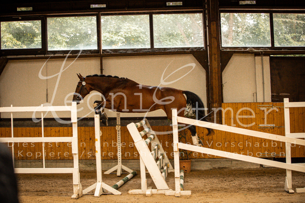 2FS_L00025 | Leoni Ertmer Photography - Realisiert mit Pictrs.com