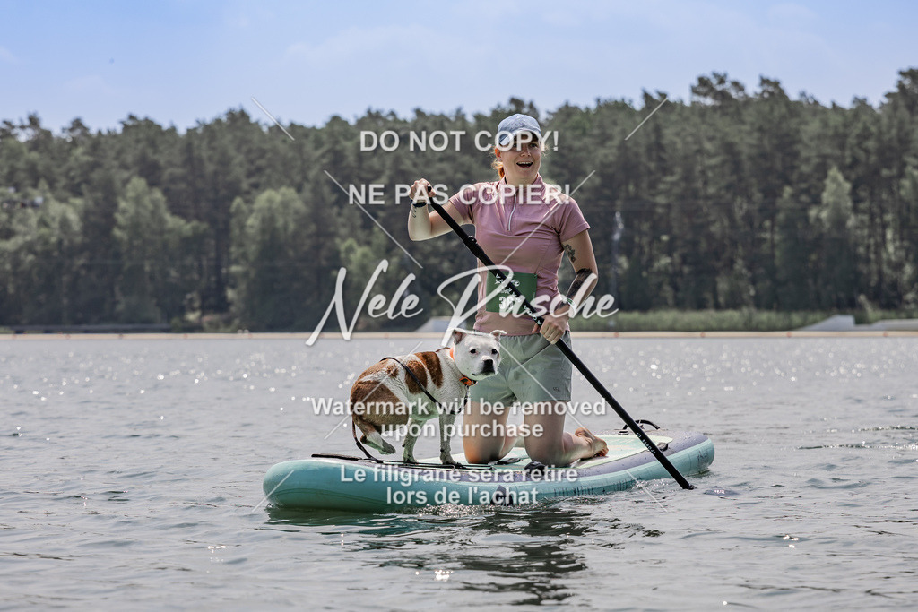 BUHU_SUP_786 | nelerasche