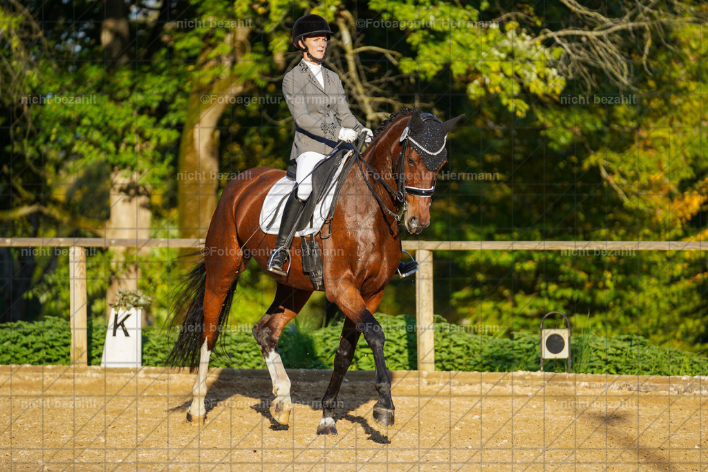 20221007-FAH00395 | Diessen am Ammersee, 2022, Dressur- und Springturnier, Reitsportbilder, Turnierfotografen Bayern, Pferdefotografen, Fotoagentur Herrmann, Turnierbilder
