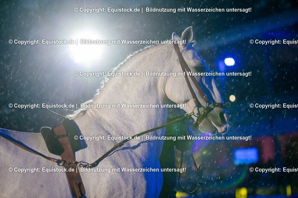 20250606_Lange-Pferdenacht_1131 | Foto: Thomas Hartig