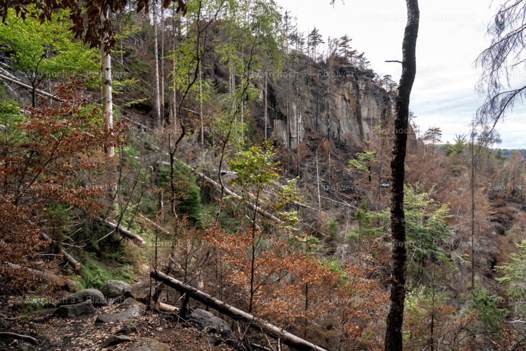 Obere_Affensteinpromenade_Nahe_Wespenturm_Waldbrand_Hang | 2022-09-02_Waldbrandgebiete_2 - Realisiert mit Pictrs.com