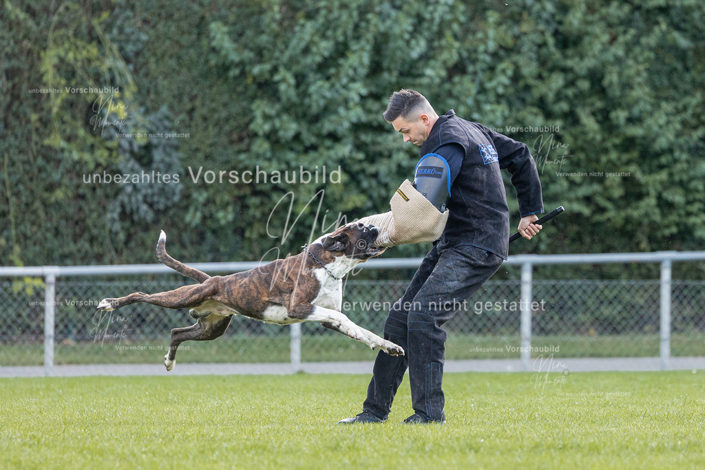 _16A6515 | Einzigartige Fotos von Hunden & Menschen –Actionfotos, Portraits, Vereinsaufnahmen & Paarshootings – authentisch, lebendig & mit Herz.