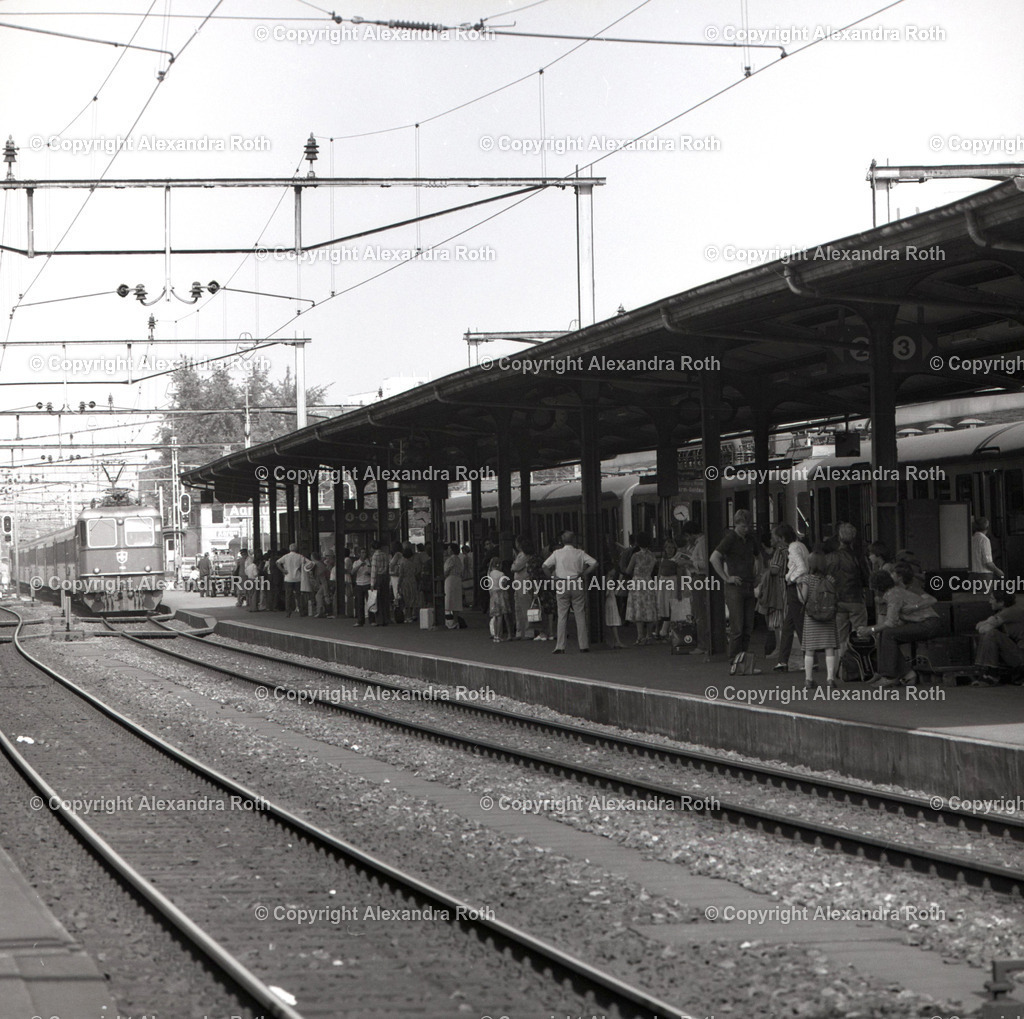 Aarau_0913 | onlineshop - Realisiert mit Pictrs.com