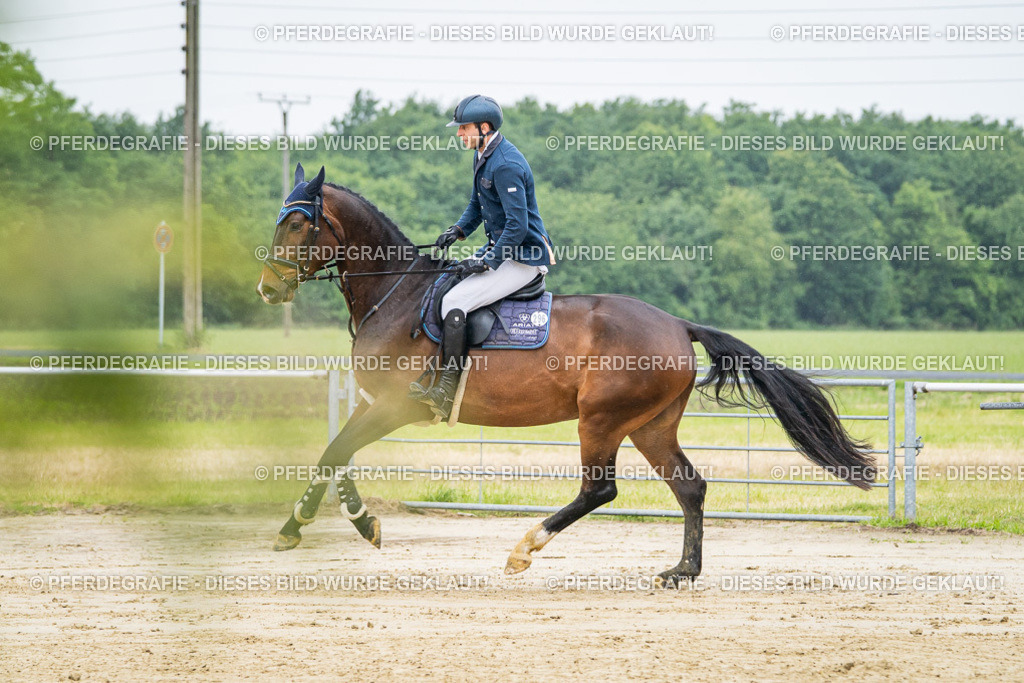 DSC01409 | Pferdegrafie