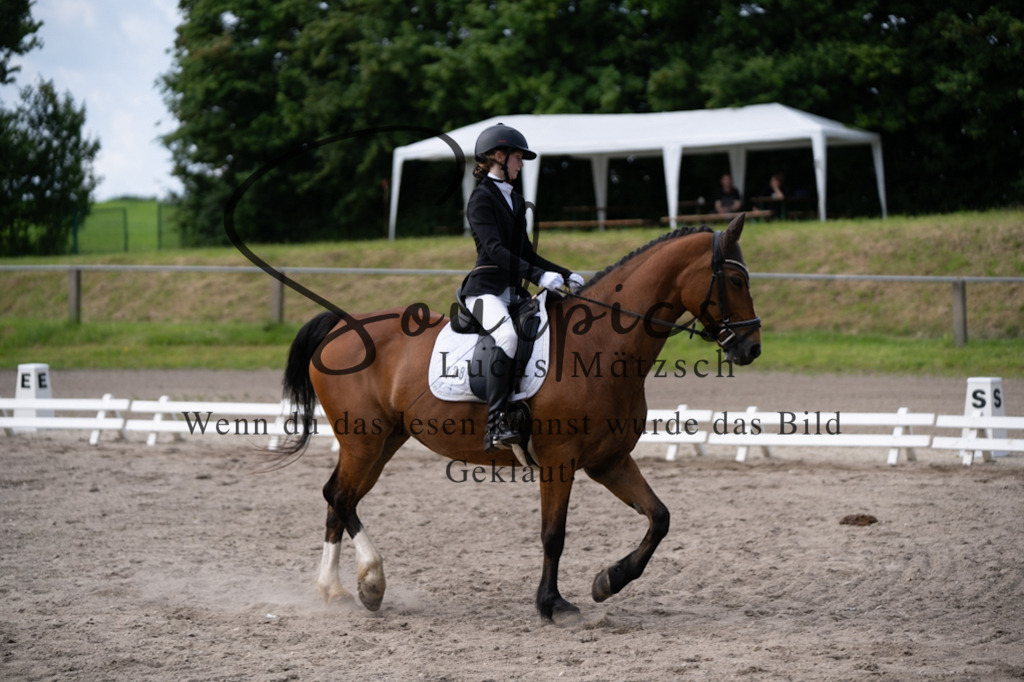 A7V02631 | Pferdefotograf