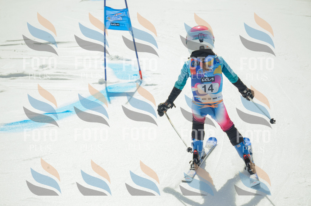 _ELE4641 | holidayphoto