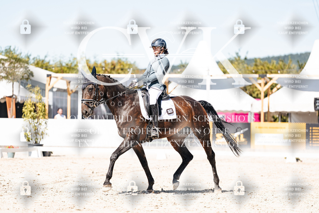 CK900122 | Turnierfotografie Pferdefotografie Trier Rheinland-Pfalz Pferdesport Reitsport Tierfotografie Sportfotografie Pferdevideo Pferdevideografie Equestrianvideography equestrianphotography  - Realisiert mit Pictrs.com