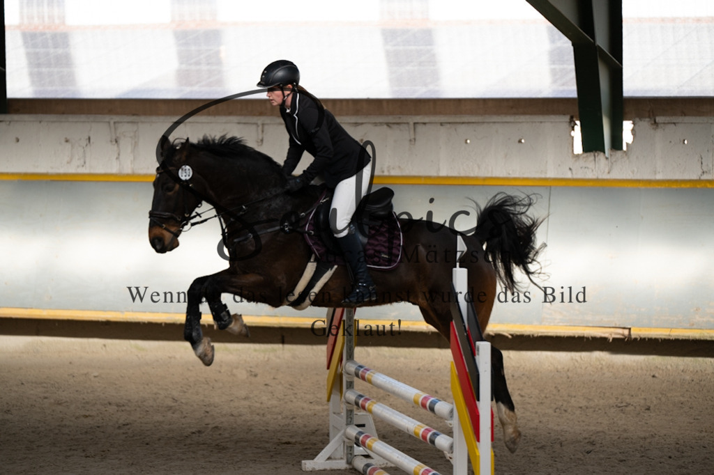 A7V02037 | Pferdefotograf