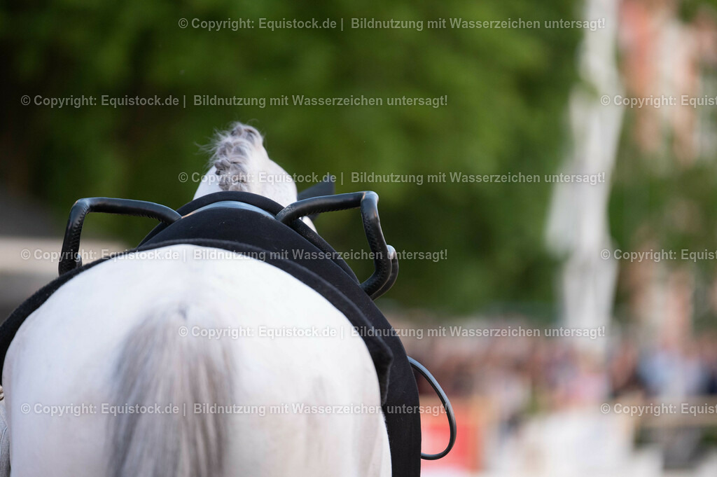 20230527_Voltigieren_NASPA_Flutlicht_0066 | equistock