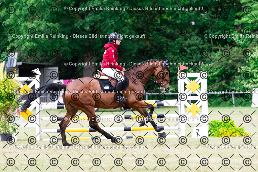 CL5A5886 | Emilia Reinking Fotografie - Realisiert mit Pictrs.com