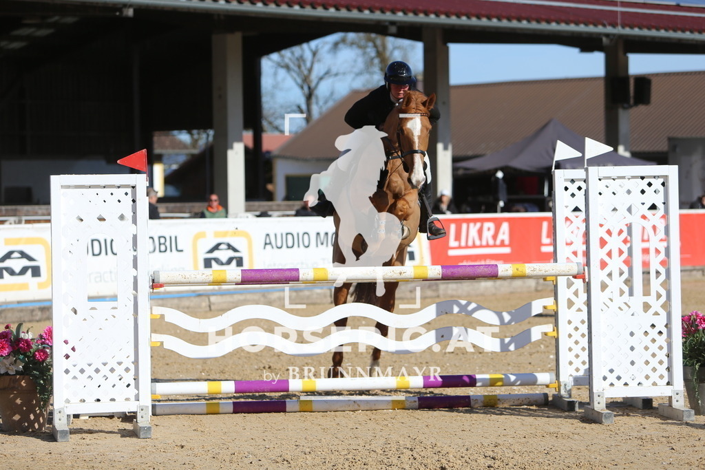 DL2Q3896 | Willkommen bei Brunnmayr - Design & Fotografie – Ihrem Spezialisten für Reitturniere und Pferdeveranstaltungen in Oberösterreich, Salzburg und Bayern! Seit über 17 Jahren sind wir leidenschaftlich dabei.