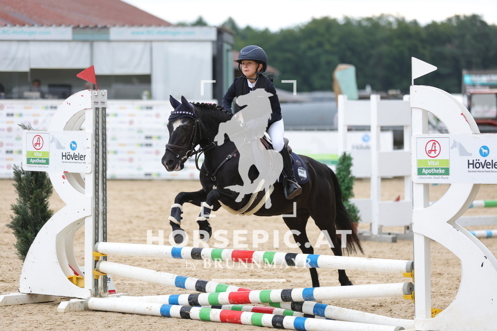 0P6A7282 | Willkommen bei Brunnmayr - Design & Fotografie – Ihrem Spezialisten für Reitturniere und Pferdeveranstaltungen in Oberösterreich, Salzburg und Bayern! Seit über 17 Jahren sind wir leidenschaftlich dabei.