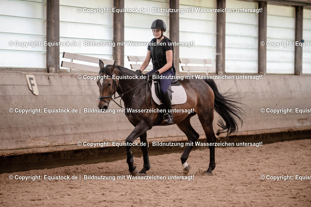 20250725_Vielseitigkeitslehrgang-Marbach_0009 | Foto: Thomas Hartig