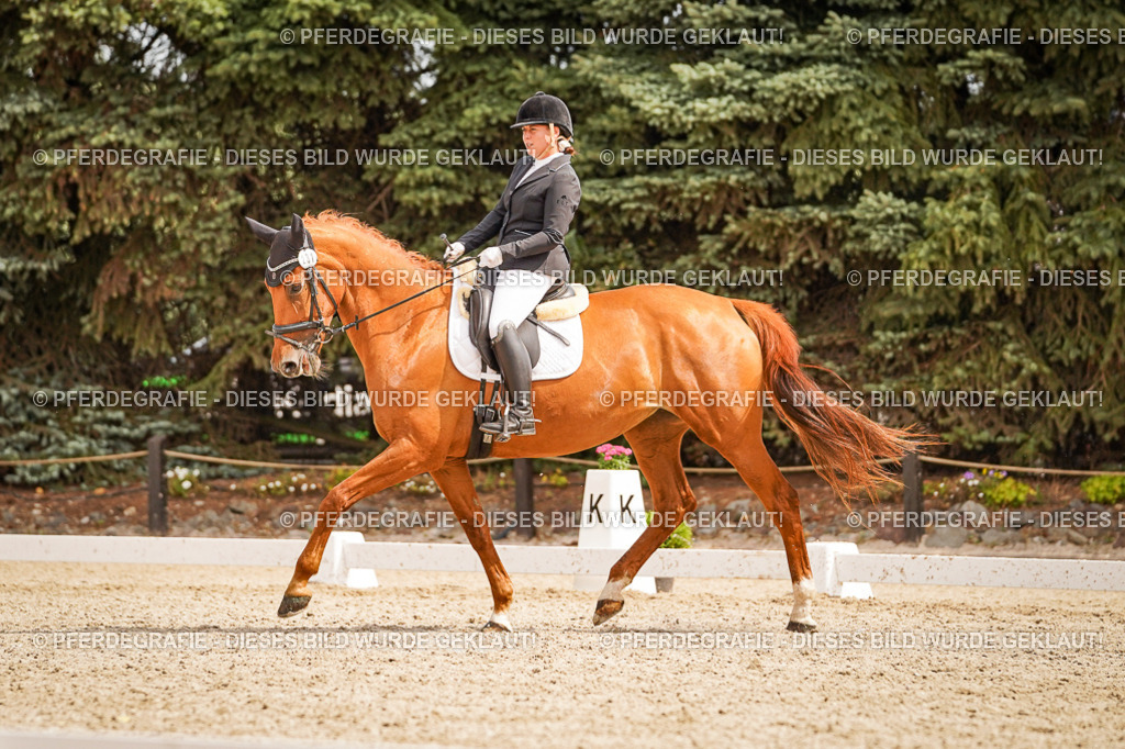 DSC01810 | Pferdegrafie