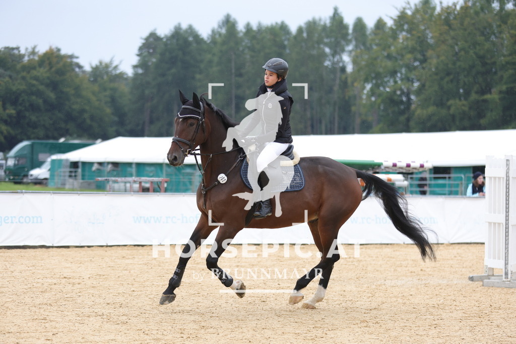 0P6A3119 | Willkommen bei Brunnmayr - Design & Fotografie – Ihrem Spezialisten für Reitturniere und Pferdeveranstaltungen in Oberösterreich, Salzburg und Bayern! Seit über 17 Jahren sind wir leidenschaftlich dabei.