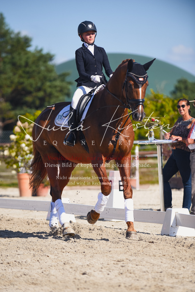 DSC_0136 | Pferde- und Turnierfotografie in Westsachsen. Pferdeportraits, Auftragszeichnungen und intuitive Kunst.