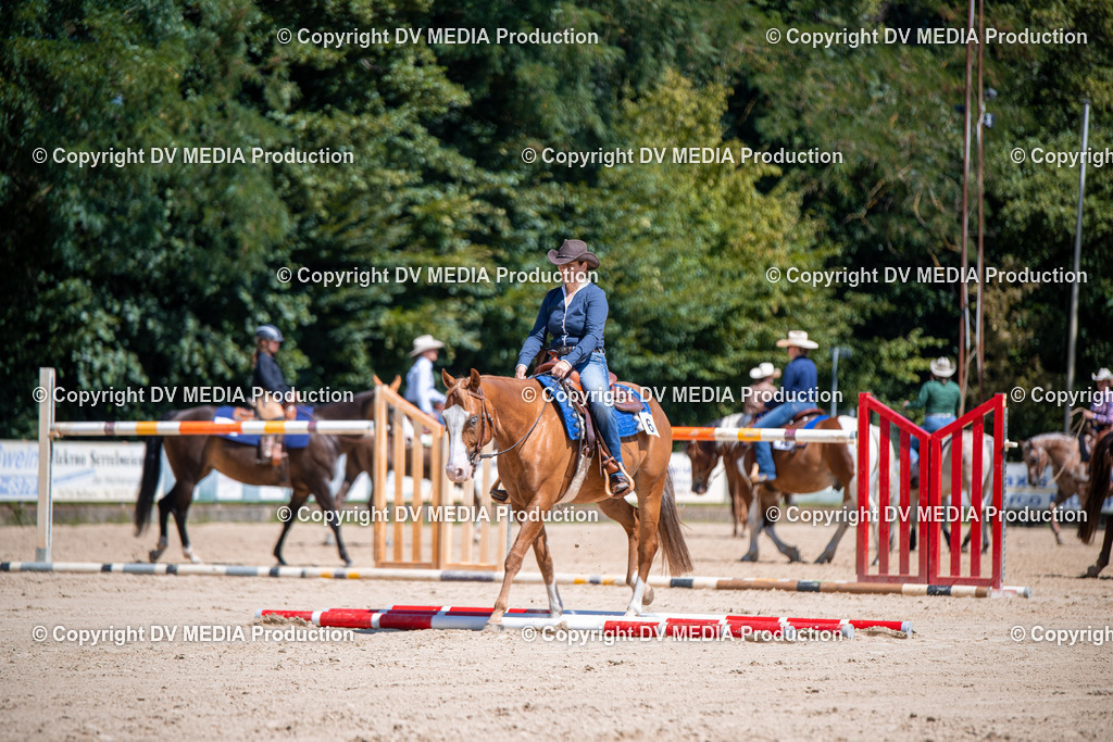 ZS1_1183 | dv-media-shop - Realisiert mit Pictrs.com