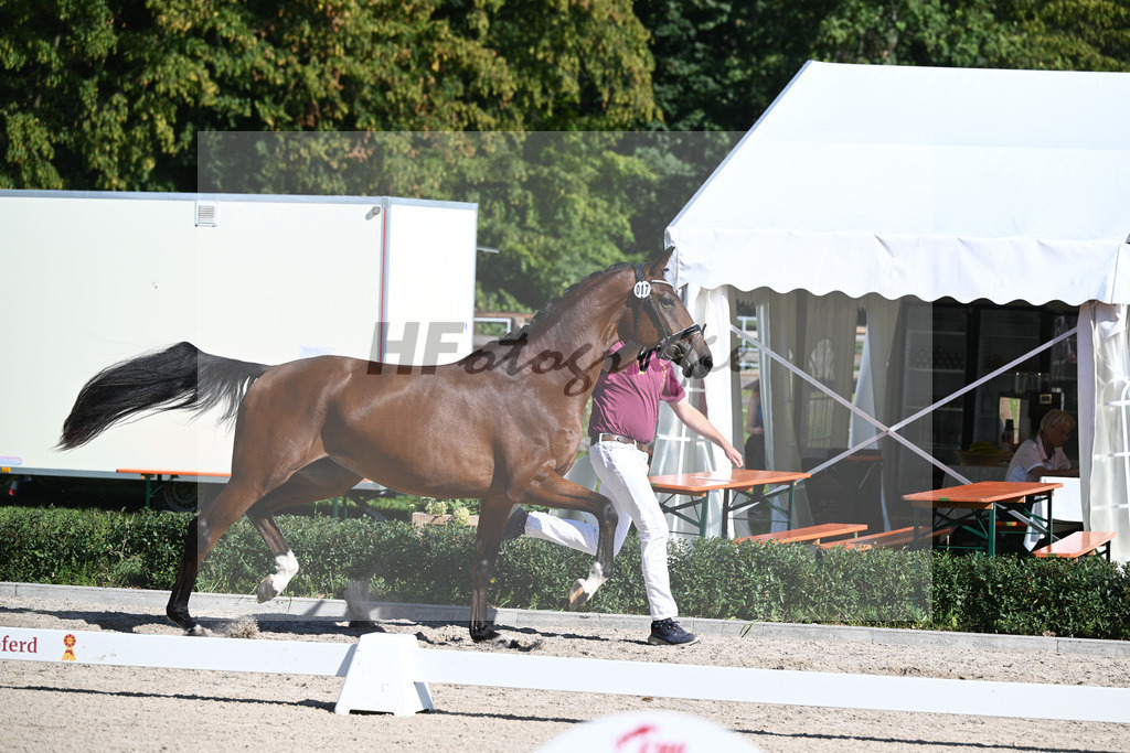 Kat-Nr. 17 Fine Cherie_Kohn_36230849 | hf-fotografie - Realisiert mit Pictrs.com