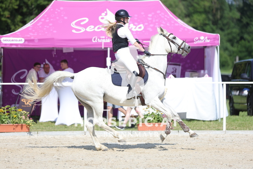 0P6A0667 | Willkommen bei Brunnmayr - Design & Fotografie – Ihrem Spezialisten für Reitturniere und Pferdeveranstaltungen in Oberösterreich, Salzburg und Bayern! Seit über 17 Jahren sind wir leidenschaftlich dabei.