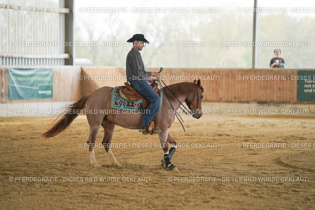 DSC08187 | Pferdegrafie