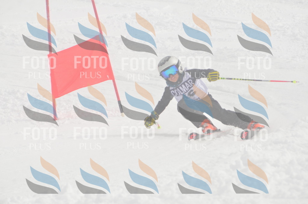 A5350 | holidayphoto