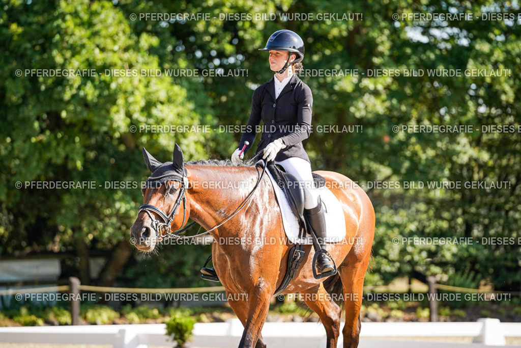 DSC09906 | Pferdegrafie