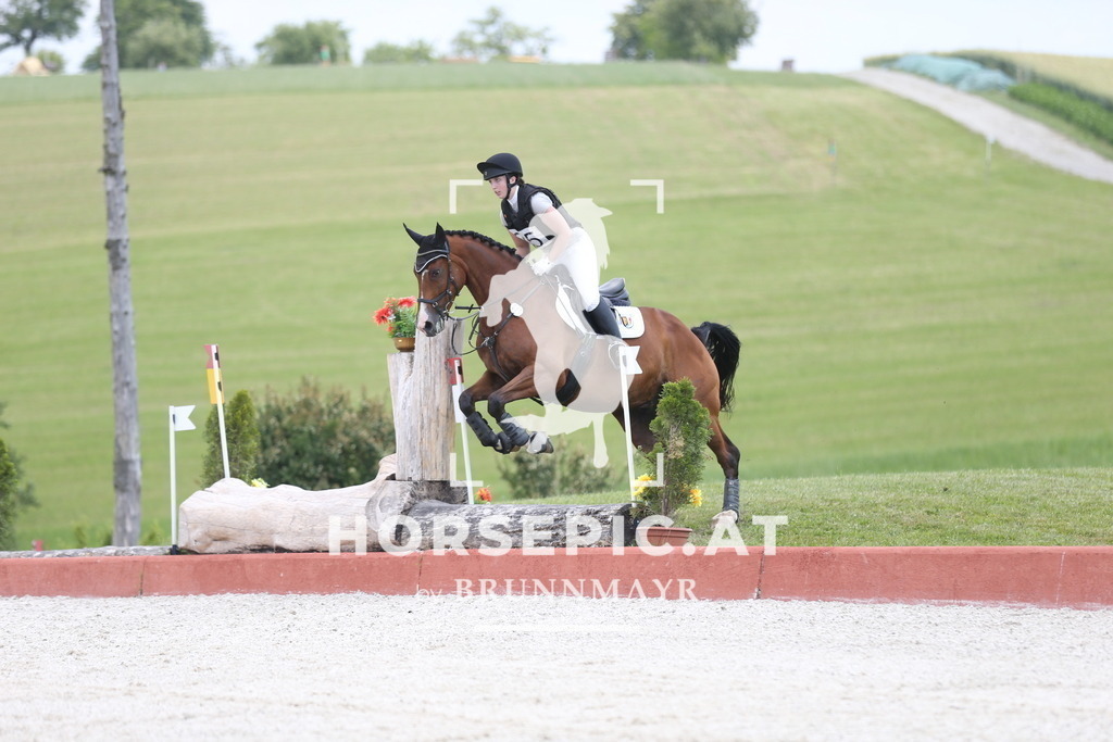 DL2Q2543 | Willkommen bei Brunnmayr - Design & Fotografie – Ihrem Spezialisten für Reitturniere und Pferdeveranstaltungen in Oberösterreich, Salzburg und Bayern! Seit über 17 Jahren sind wir leidenschaftlich dabei.