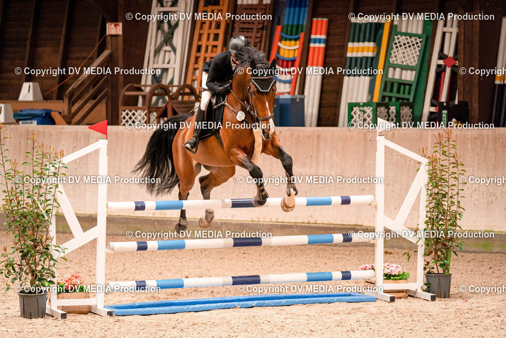 Springen Tag 1-597 | dv-media-shop - Realisiert mit Pictrs.com