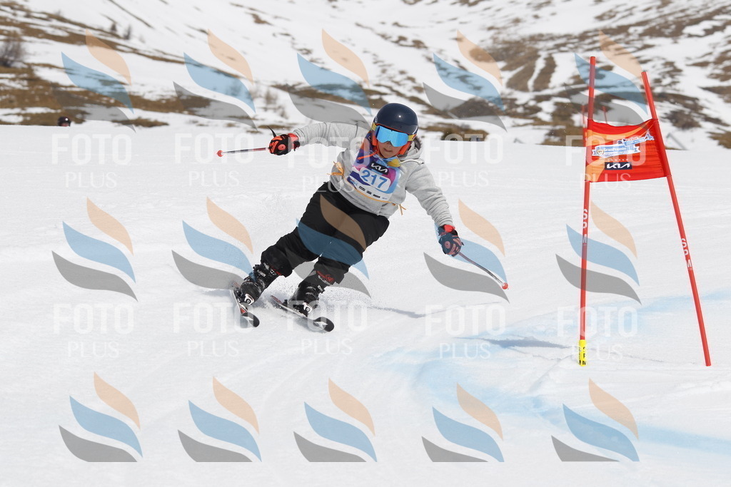 _U3G2319 | holidayphoto