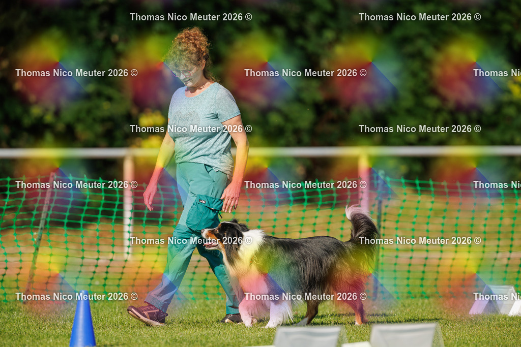 Thomas_Nico_Meuter(C)_04. Oktober 2026_223A2706 | Bild von Thomas Nico Meuter - Realisiert mit Pictrs.com