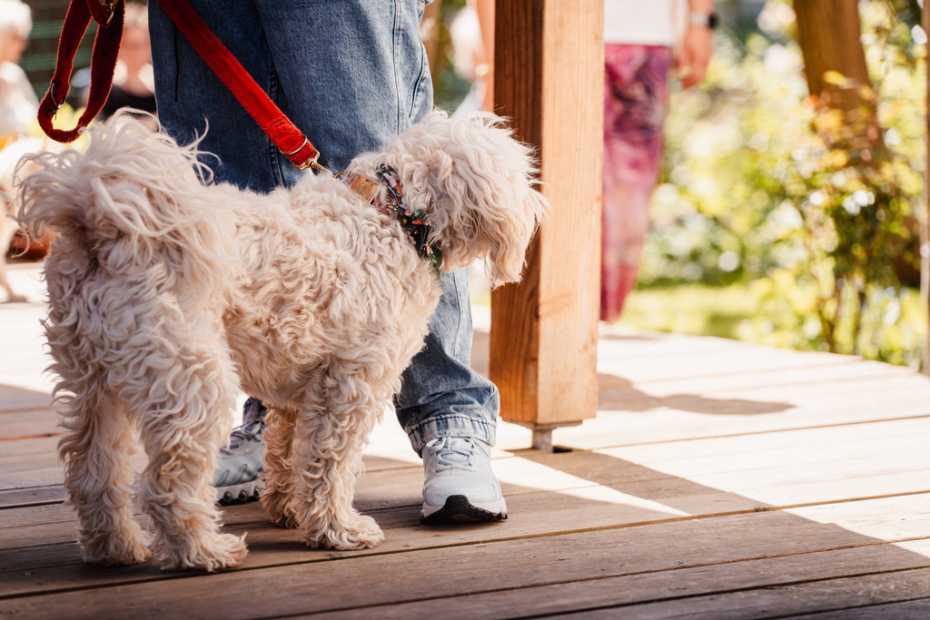 20260426-95 | MuT (Mensch und Tier) mit Mona - Fotografie und Tierkommunikation - Realisiert mit Pictrs.com