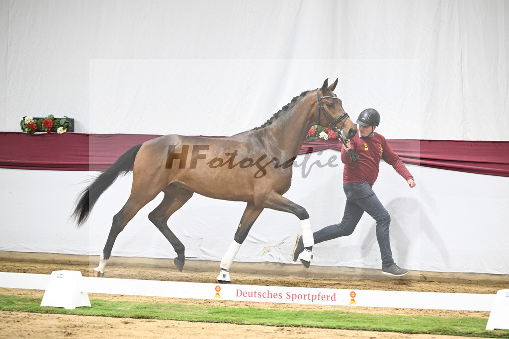 Kat-Nr. 43 Va Pensiero x Secret_Philipp Stuppert_47251493 | hf-fotografie - Realisiert mit Pictrs.com